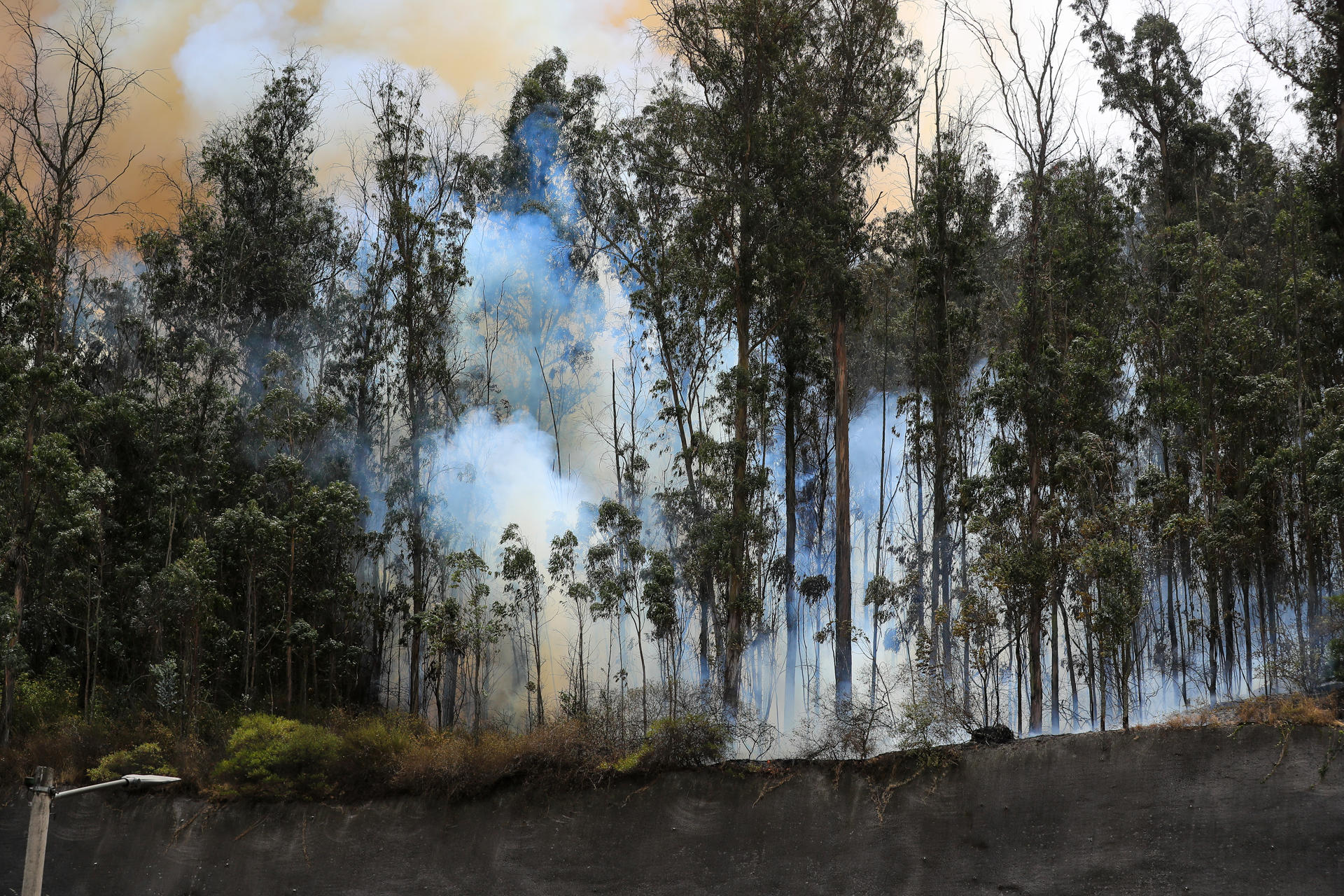 Fotografía de archivo de un incendio forestal en Quito (Ecuador). EFE/José Jácome