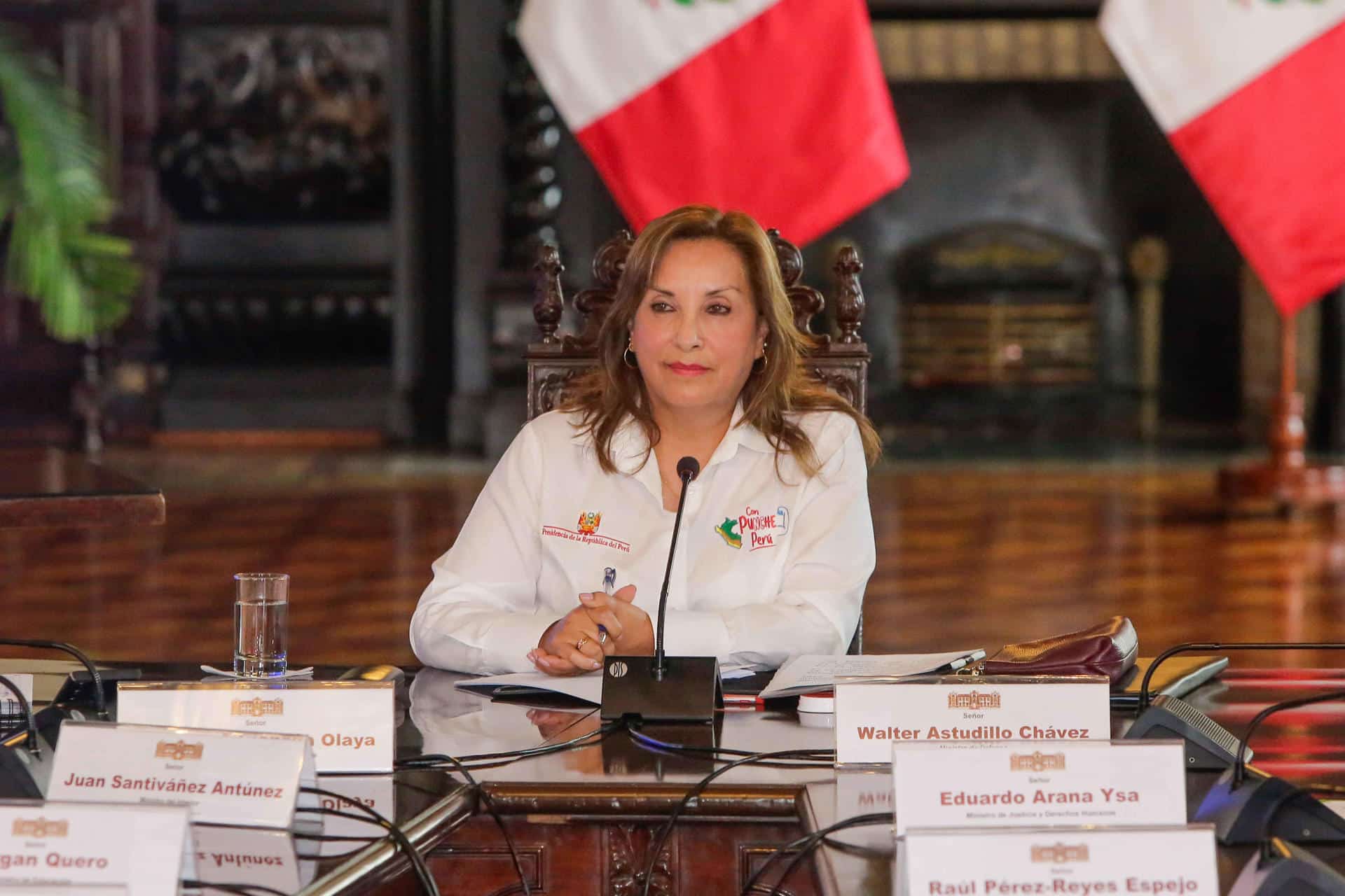 Imagen de archivo de la presidenta de Perú, Dina Boluarte. EFE/Stringer