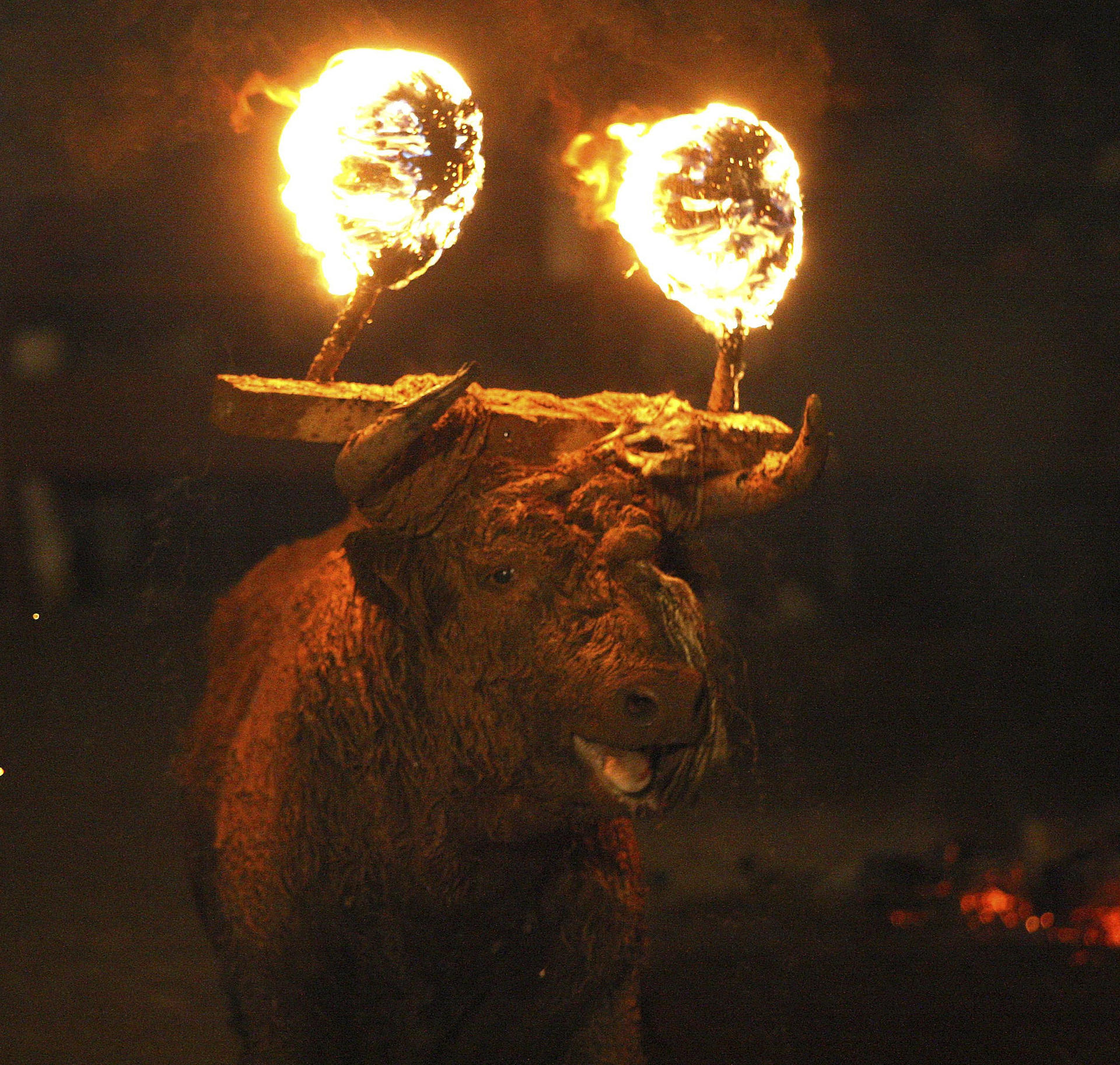 Foto archivo. El toro jubilo. EFE/Wifredo García