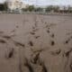 El barro cubre por completo un campo de fútbol en Sedaví, Valencia, este sábado. EFE/ Kai Försterling