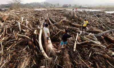 Santa Ana (Philippines), 15/11/2024.- Filipino villagers stand on washed up logs and debris caused by Typhoon Usagi in the coastal municipality of Santa Ana, Cagayan province, Philippines, 15 November 2024. Typhoon Usagi, the fifth major typhoon to hit the Philippines, brought more damaged after the onslaught of Typhoons Toraji, Trami, Yinxing and Kong-rey. (Filipinas) EFE/EPA/FRANCIS R. MALASIG