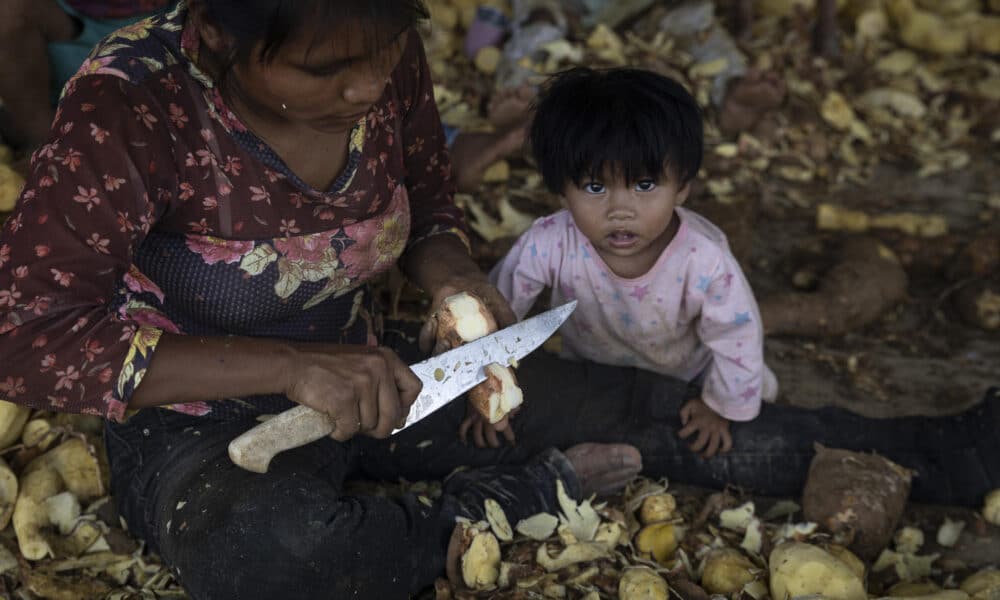 Una mujer indígena de la etnia Mundurukú trabaja procesando yuca para producir harina, en la aldea Kaba Biorebu de la Tierra Indígena Mundurukú en el municipio de Jacareacanga, en el estado de Pará (Brasil). EFE/ Isaac Fontana