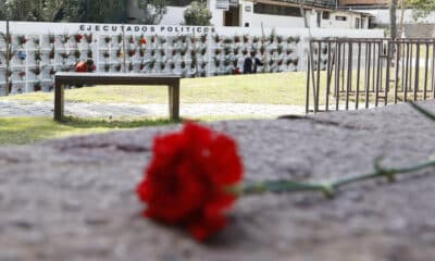 Fotografía de archivo de una flor frente al Memorial de Detenidos Desaparecidos y Ejecutados Políticos, en el Cementerio General de Santiago de Chile. EFE/ Elvis González