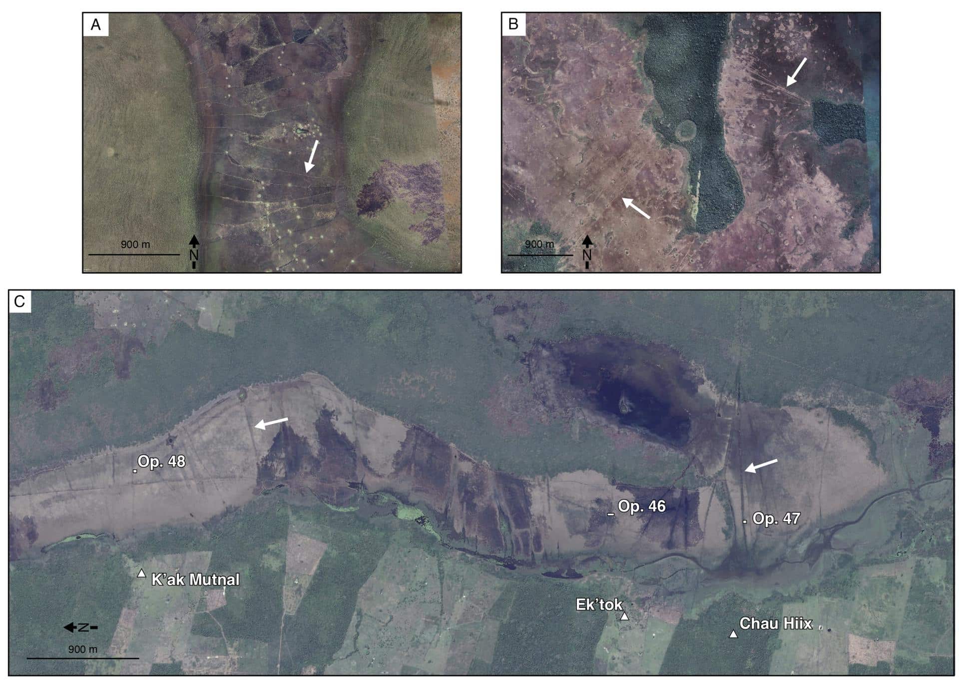 Paisajes de llanuras aluviales estacionales con presas para peces que se asemejan a las del Crooked Tree. Las imágenes de satélite incluyen (A) una pesquería contemporánea en Zambia, África; (B) una antigua pesquería en la Amazonía boliviana; y (C) la antigua pesquería en la Laguna Occidental, Belice. Crédito: Todas las imágenes son cortesía de Google Earth. Harrison-Buck et al.