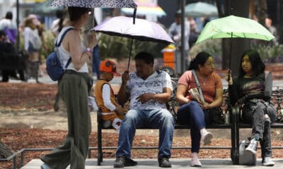 Personas se protegen del sol con sombrillas en el parque de la Alameda Central en la Ciudad de México (México). EFE/Mario Guzmán