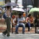 Personas se protegen del sol con sombrillas en el parque de la Alameda Central en la Ciudad de México (México). EFE/Mario Guzmán