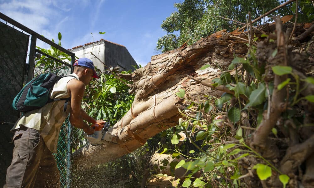 Un hombre corta con una sierra el tronco de un árbol caido a causa del huracán Rafael, este viernes en La Habana (CUBA). EFE/Yander Zamora