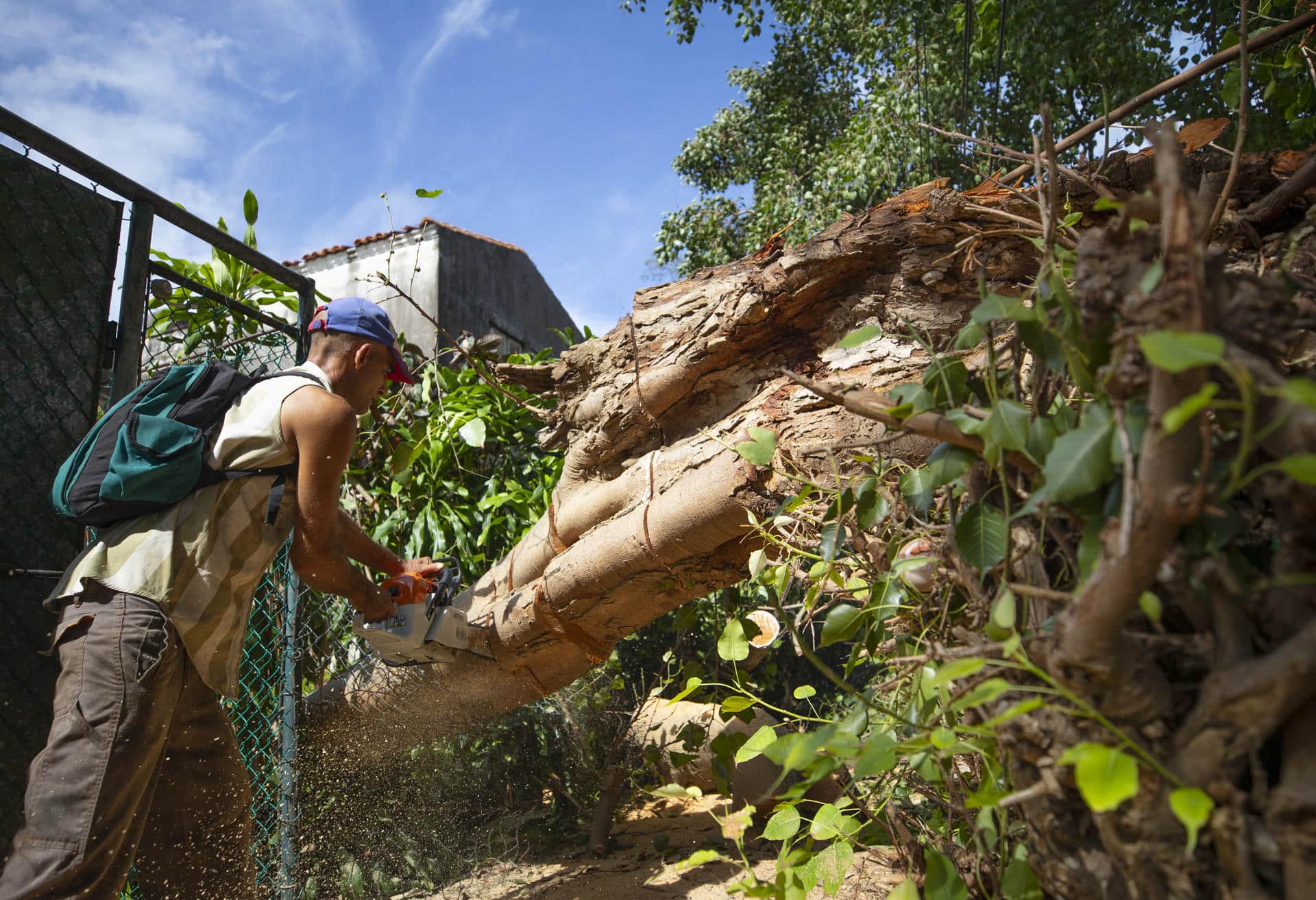 Un hombre corta con una sierra el tronco de un árbol caido a causa del huracán Rafael, este viernes en La Habana (CUBA). EFE/Yander Zamora