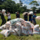 Fotografía cedida por el Ejército de Colombia de militares llevando más de 300 kits de ayudas humanitarias con el fin de mitigar las afectaciones por la ola invernal, este lunes en Alto Baudó (Colombia). EFE/Ejército de Colombia