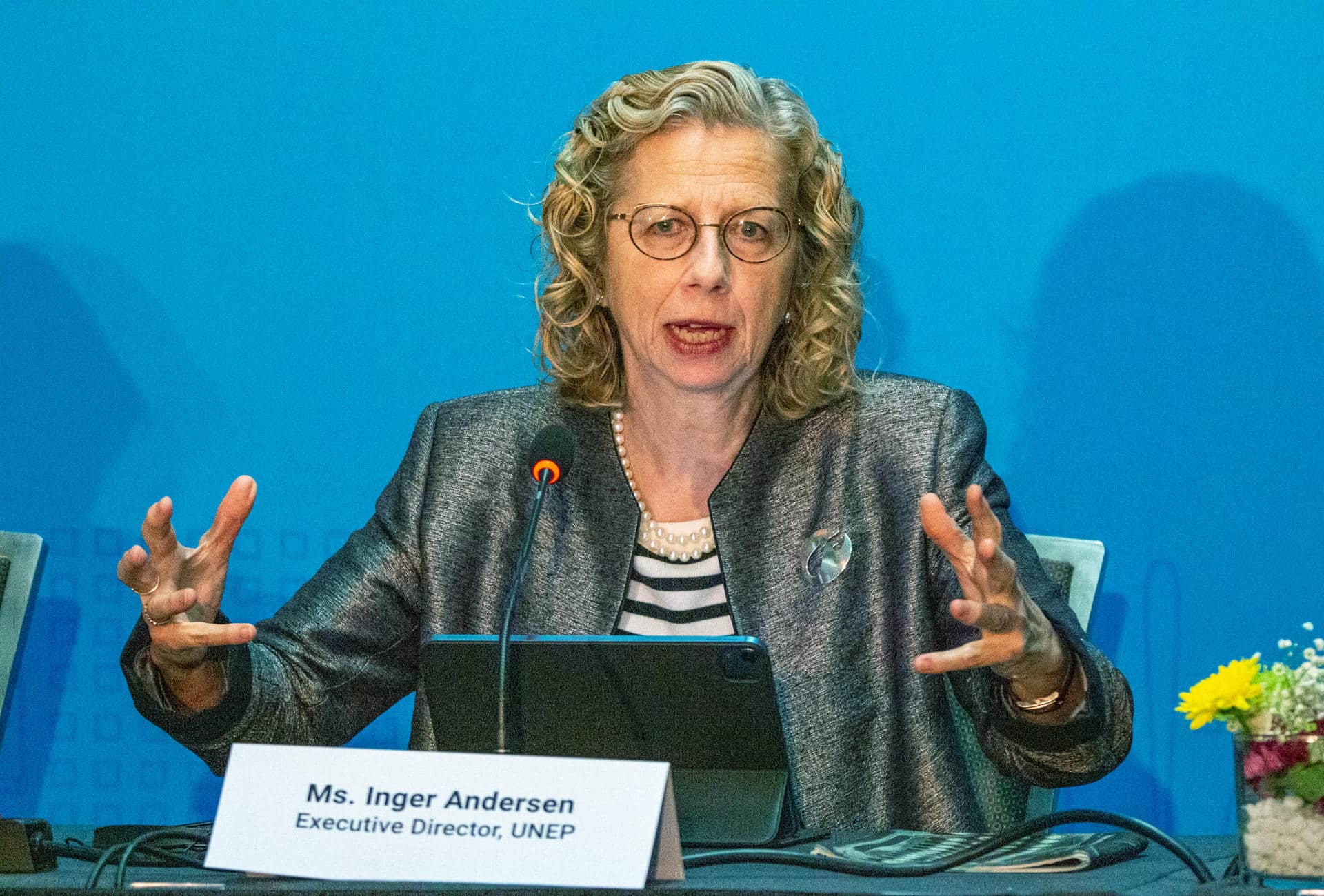 La directora ejecutiva del Programa de la ONU para el Medio Ambiente (Pnuma), Inger Andersen, en una imagen de archivo. EFE/Julio César Rivas