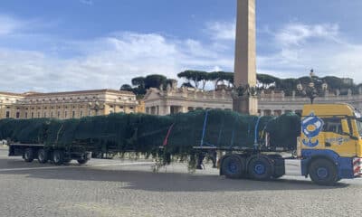 El abeto gigante que adornará el Vaticano y cuya tala en Ledro (norte) causó indignación en Italia llegó este jueves a la Plaza de San Pedro, donde será iluminado el próximo 7 de diciembre, cuando se inaugure también el tradicional pesebre navideño. EFE TV