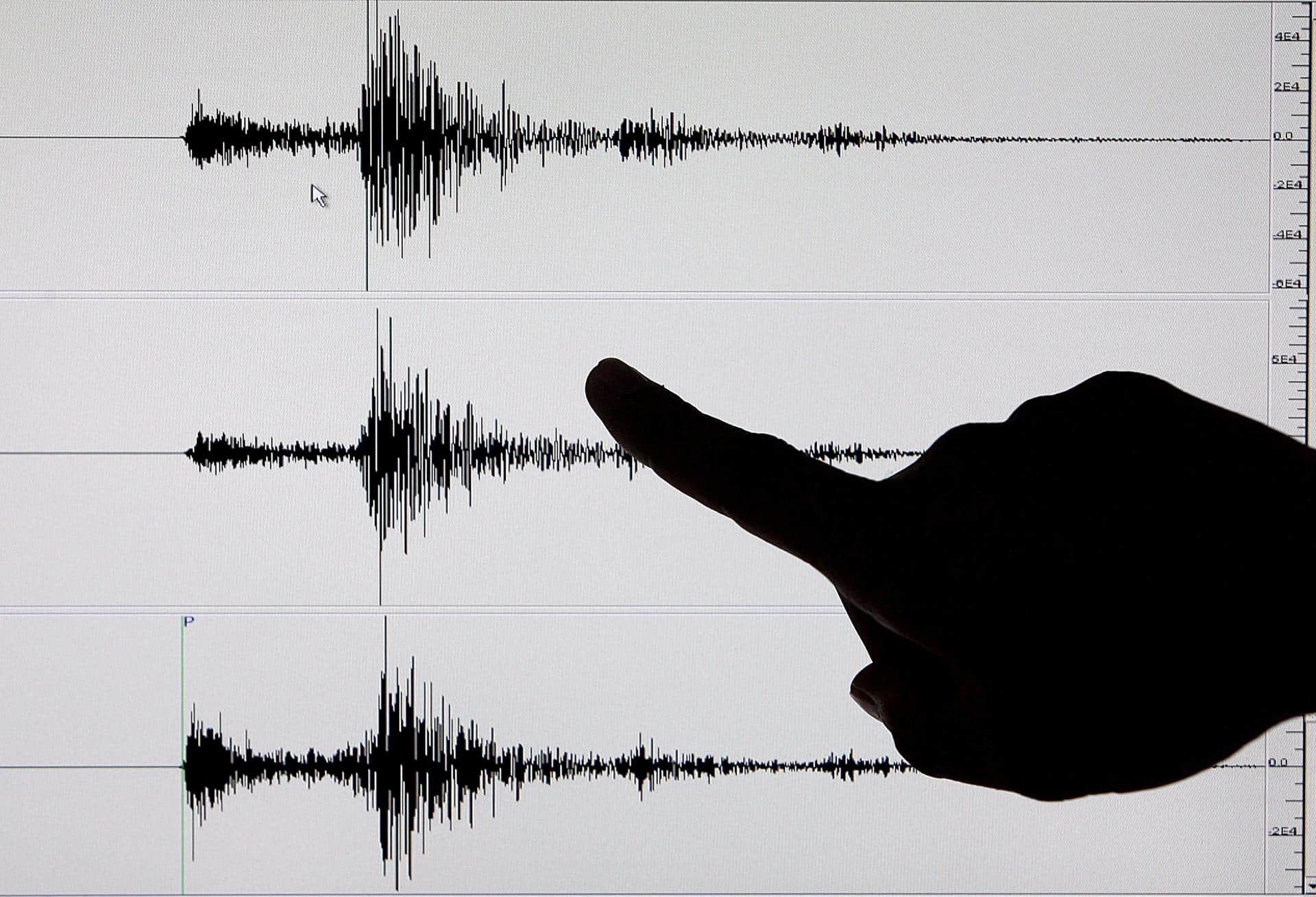 Imagen de archivo de un sismógrafo tras un terremoto.EPA/Alanah M. Torralba