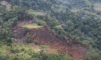 Fotografía aérea de una zona con coca excedentaria, este viernes, en Cochabamba (Bolivia). EFE/ Juan Carlos Torrejon