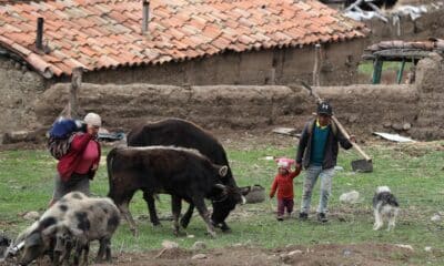 Fotografía de archivo de una familia a más de 3.500 metros de altura en la región de Junín, el 14 de noviembre de 2023, en los Andes del centro de Perú. EFE/Paolo Aguilar