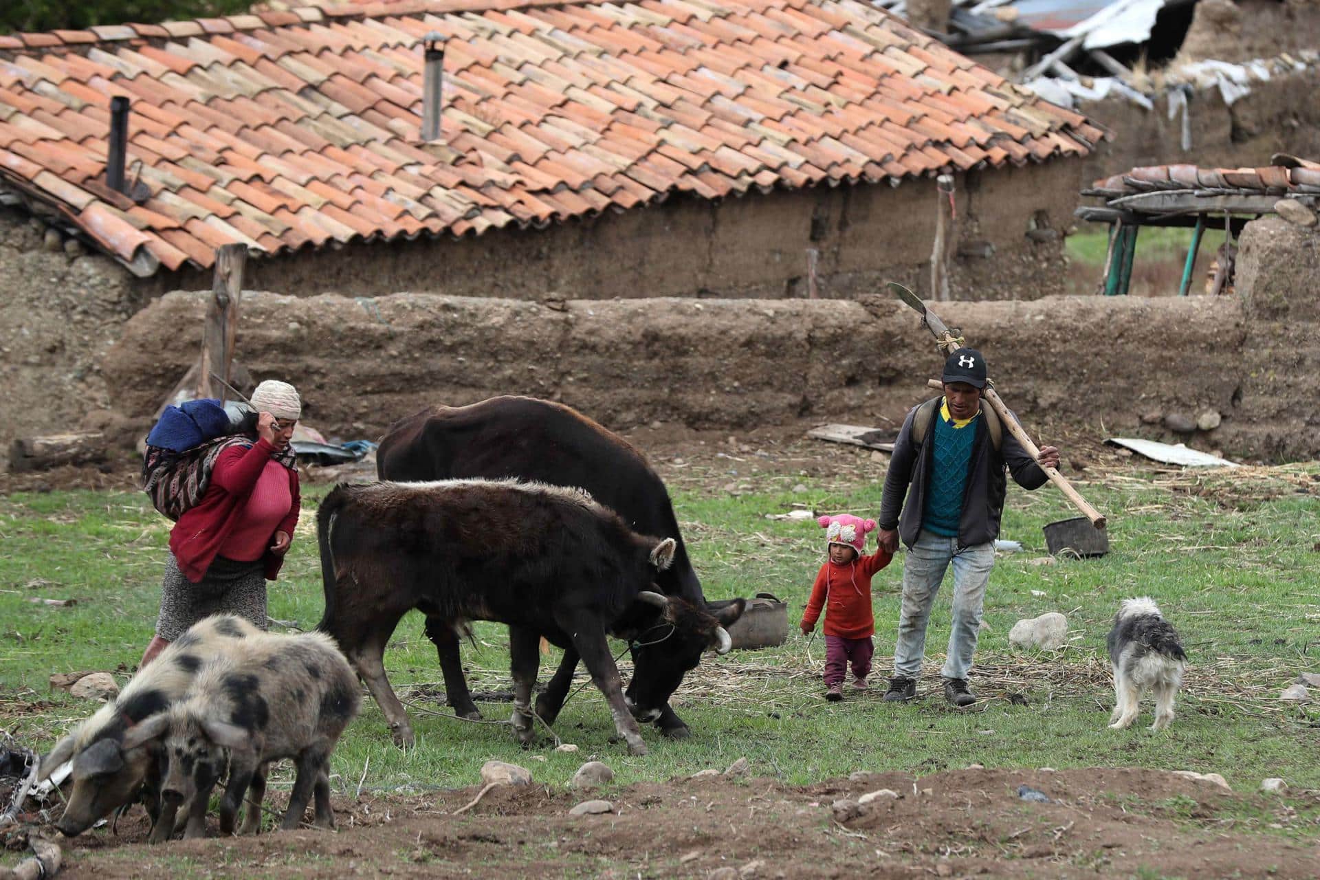 Fotografía de archivo de una familia a más de 3.500 metros de altura en la región de Junín, el 14 de noviembre de 2023, en los Andes del centro de Perú. EFE/Paolo Aguilar