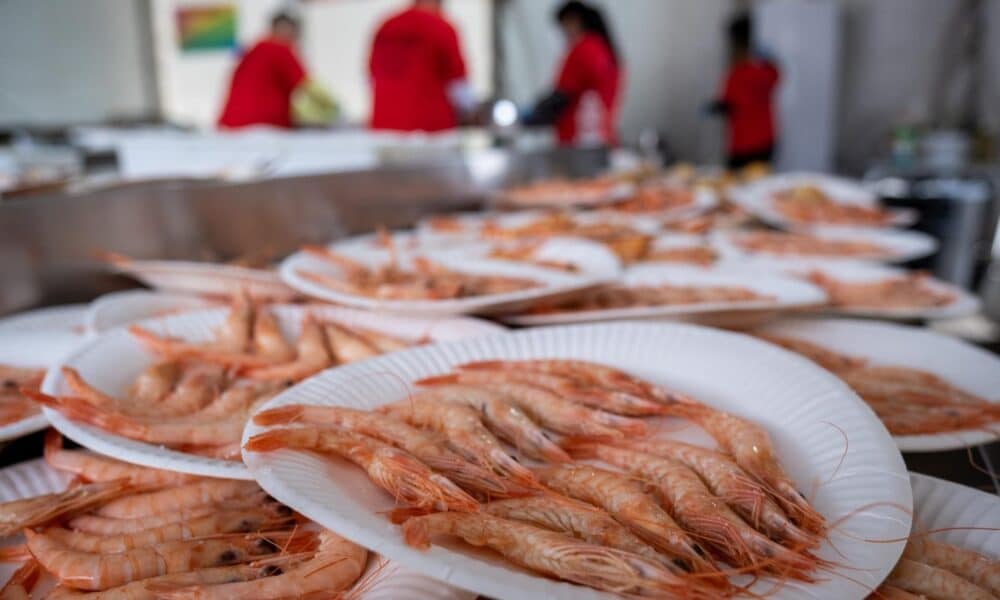 Fotografía de archivo en donde se ve un plato de camarones. EFE/Julián Pérez