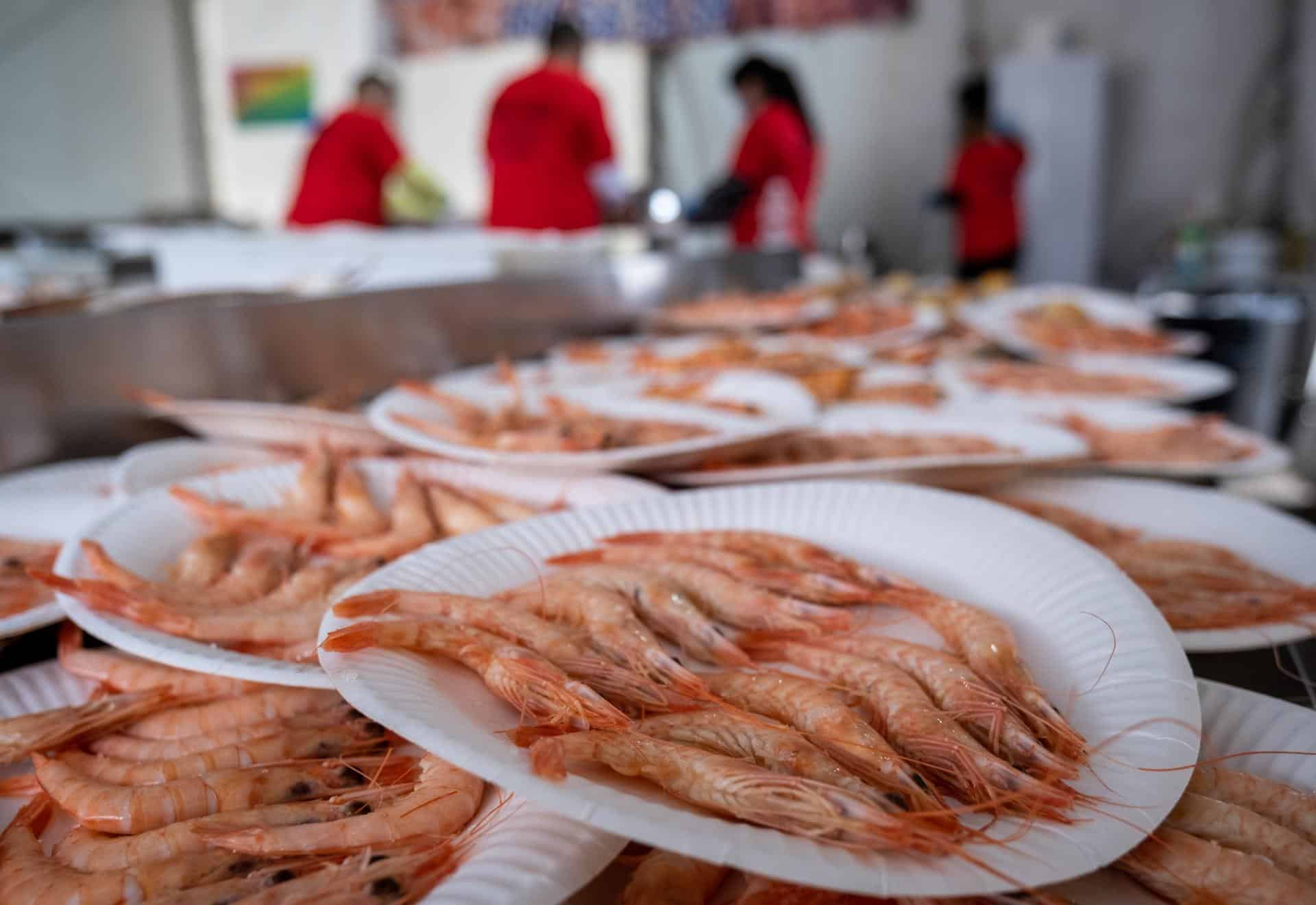 Fotografía de archivo en donde se ve un plato de camarones. EFE/Julián Pérez