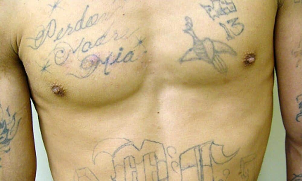 Imagen de archivo de un integrante de la pandilla "Mara Salvatrucha 13" (MS-13) que fue detenido en Nueva York. EFE