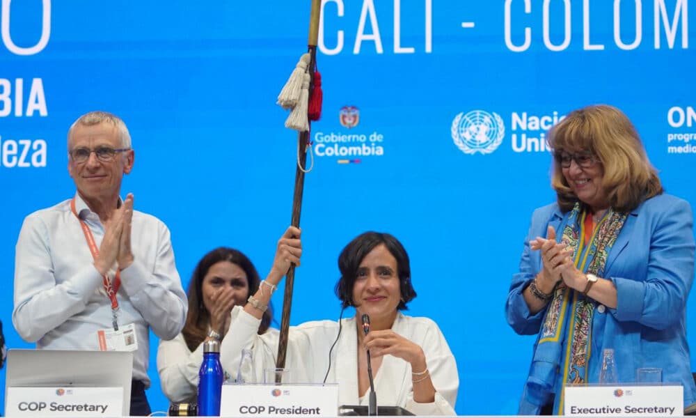 Fotografía cedida por Prensa COP16 que muestra la ministra colombiana de Ambiente y Desarrollo Sostenible, Susana Muhamad (c), sosteniendo un bastón este sábado, durante una sesión de la Conferencia de la ONU sobre Biodiversidad Biológica (COP16) en Cali (Colombia). EFE/ Prensa COP16