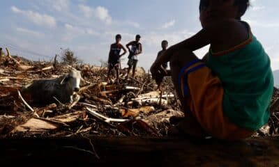 Santa Ana (Philippines), 15/11/2024.- Filipino villagers watch livestock trapped amongst logs and debris caused by Typhoon Usagi in the coastal municipality of Santa Ana, Cagayan province, Philippines, 15 November 2024. Typhoon Usagi, the fifth major typhoon to hit the Philippines, brought more damaged after the onslaught of Typhoons Toraji, Trami, Yinxing and Kong-rey. (Filipinas) EFE/EPA/FRANCIS R. MALASIG