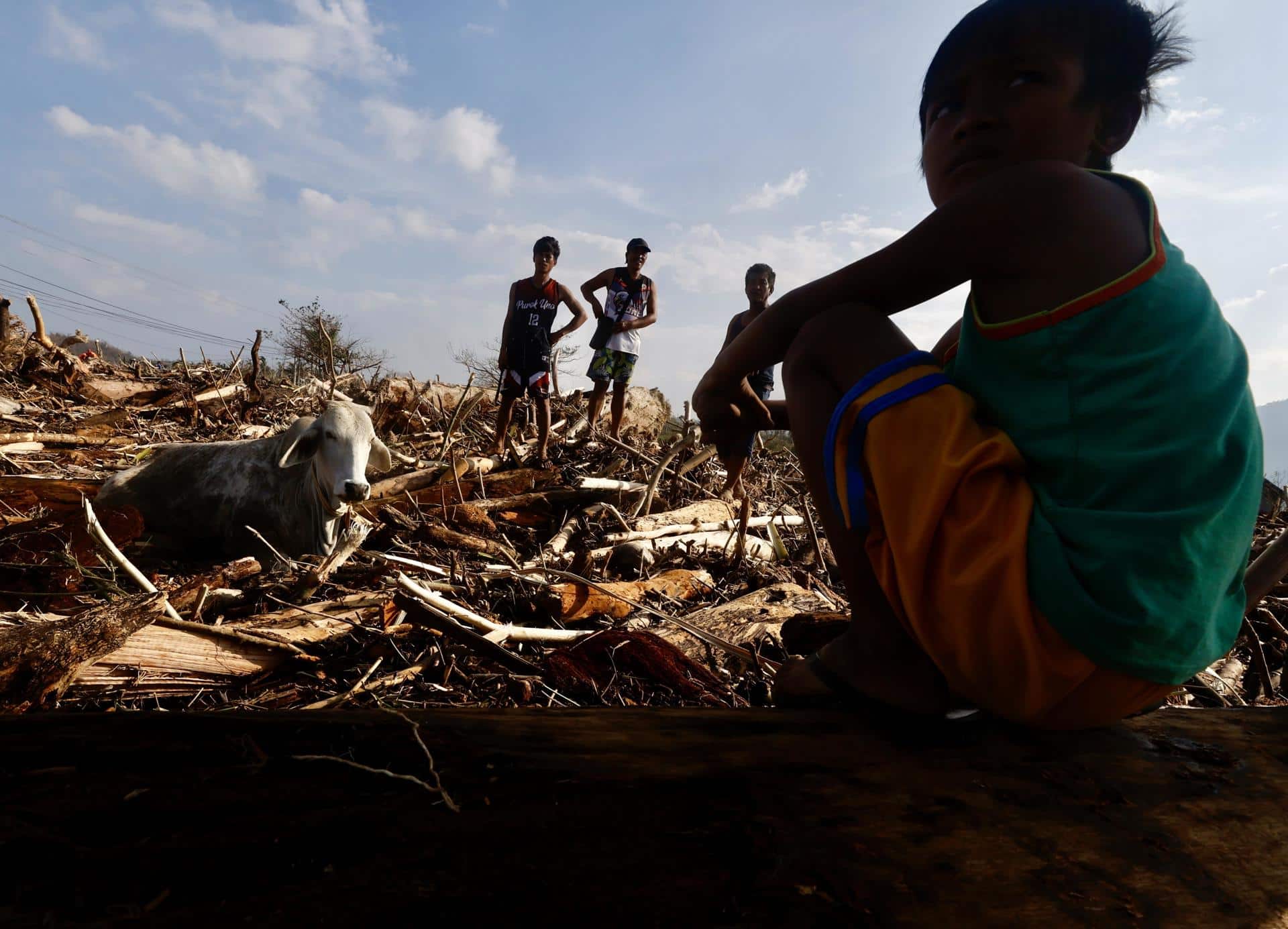 Santa Ana (Philippines), 15/11/2024.- Filipino villagers watch livestock trapped amongst logs and debris caused by Typhoon Usagi in the coastal municipality of Santa Ana, Cagayan province, Philippines, 15 November 2024. Typhoon Usagi, the fifth major typhoon to hit the Philippines, brought more damaged after the onslaught of Typhoons Toraji, Trami, Yinxing and Kong-rey. (Filipinas) EFE/EPA/FRANCIS R. MALASIG