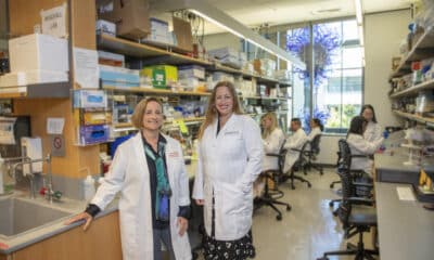 Las científicas Crystal Mackall (izquierda) y Michelle Monje en el laboratorio de la primera, en Stanford Medicine. Crédito: Douglas Peck/Lucile Packard Foundation for Children’s Health. Imagen facilitada por Standford.