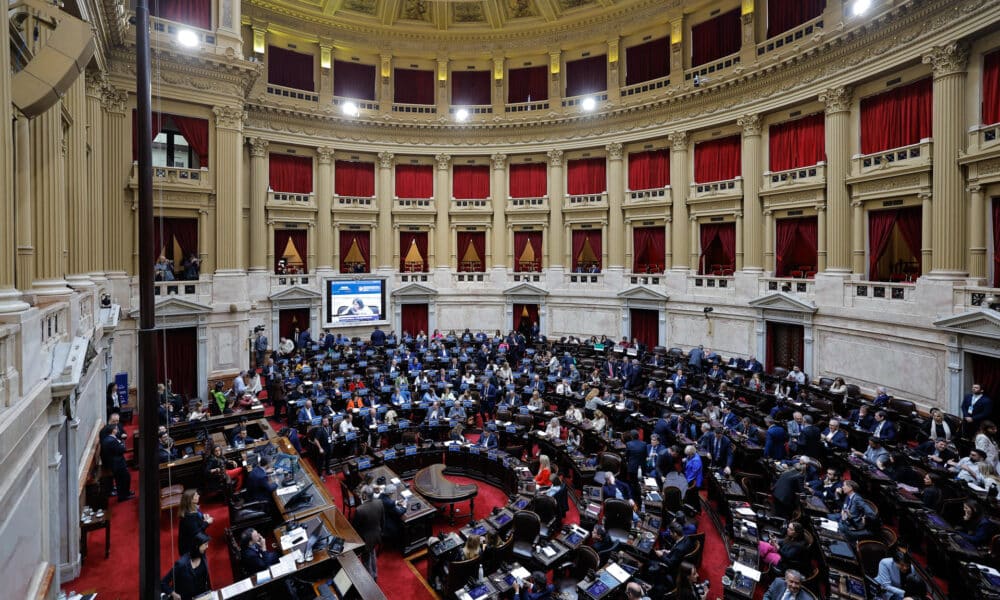 Fotografía de archivo de diputados participando de una sesión en el congreso de Argentina. EFE/ Juan Ignacio Roncoroni