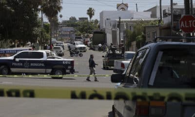 Imagen de archivo de integrantes de la policía municipal que resguardan el área donde se cometió un asesinato en la ciudad de Tijuana (México). EFE/ Joebeth Terríquez