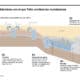 Japón cuenta con uno de los sistemas más avanzados del mundo para mitigar el impacto de inundaciones y otros desastres naturales, que incluye un mecanismo de alerta meteorológica temprana y un gigantesco tanque subterráneo para proteger a Tokio contra lluvias torrenciales y crecidas de ríos.