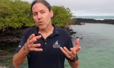 Fotografía del científico español Nicolás Moity, ecólogo marino senior y experto geoespacial de la FCD, durante una entrevista con EFE en Galápagos (Ecuador). EFE/Juan Francisco Chavez