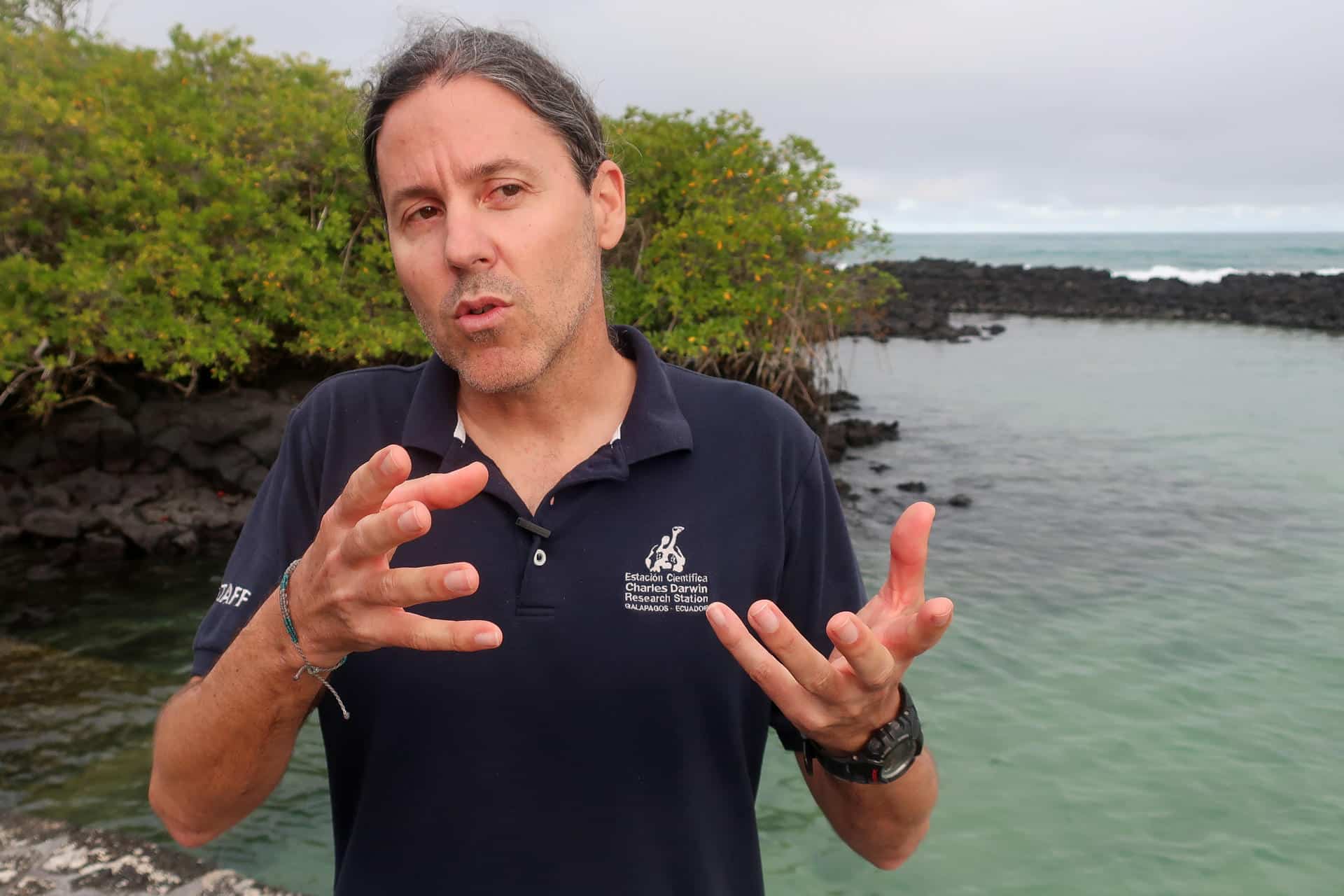 Fotografía del científico español Nicolás Moity, ecólogo marino senior y experto geoespacial de la FCD, durante una entrevista con EFE en Galápagos (Ecuador). EFE/Juan Francisco Chavez