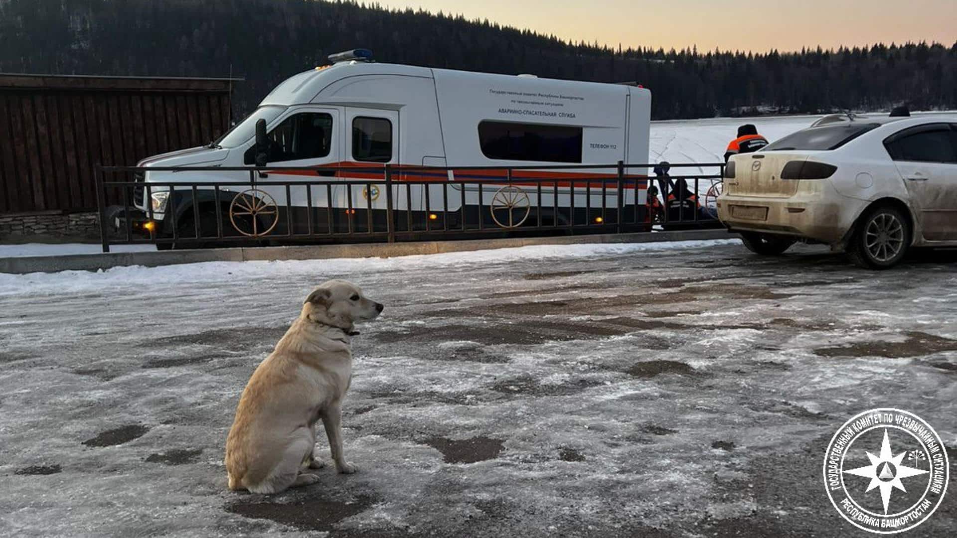 Una perra llamada Belka lleva cuatro días esperando a su amo que murió ahogado mientras intentaba cruzar en bicicleta sobre el hielo del río Ufá en la república rusa de Bashkiria, informaron hoy las autoridades locales. EFE/Departamento de Emergencias de la república rusa de Bashkiria // SOLO USO EDITORIAL/SOLO DISPONIBLE PARA ILUSTRAR LA NOTICIA QUE ACOMPAÑA (CRÉDITO OBLIGATORIO)