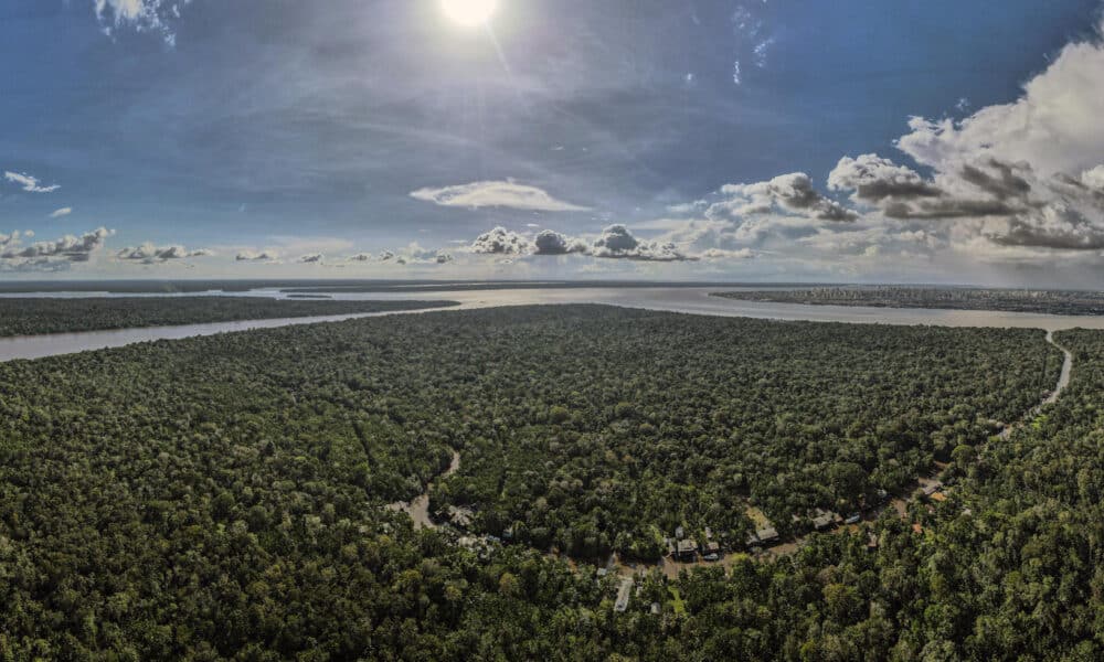 Fotografía aérea tomada con un dron una zona de la Floresta Amazónica, en el estado de Pará, norte de Brasil. EFE/ Antonio Lacerda