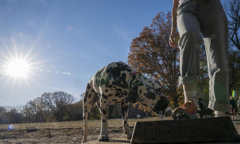 Una persona pulsa el botón de agua para mascotas este lunes, en el Prospect Park de Brooklyn, en Nueva York (Estados Unidos). EFE/ Ángel Colmenares