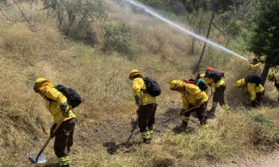 Brigadistas de la Corporación Nacional Forestal (Conaf), participan en un simulacro de incendio forestal durante la presentación del plan nacional de cortafuegos 2024-2025, este martes, en Santiago (Chile). EFE/Andrea Sanz Yuz