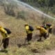 Brigadistas de la Corporación Nacional Forestal (Conaf), participan en un simulacro de incendio forestal durante la presentación del plan nacional de cortafuegos 2024-2025, este martes, en Santiago (Chile). EFE/Andrea Sanz Yuz