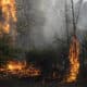 Fotografía un incendio forestal este martes en Quilpué (Chile). EFE/Adriana Thomasa