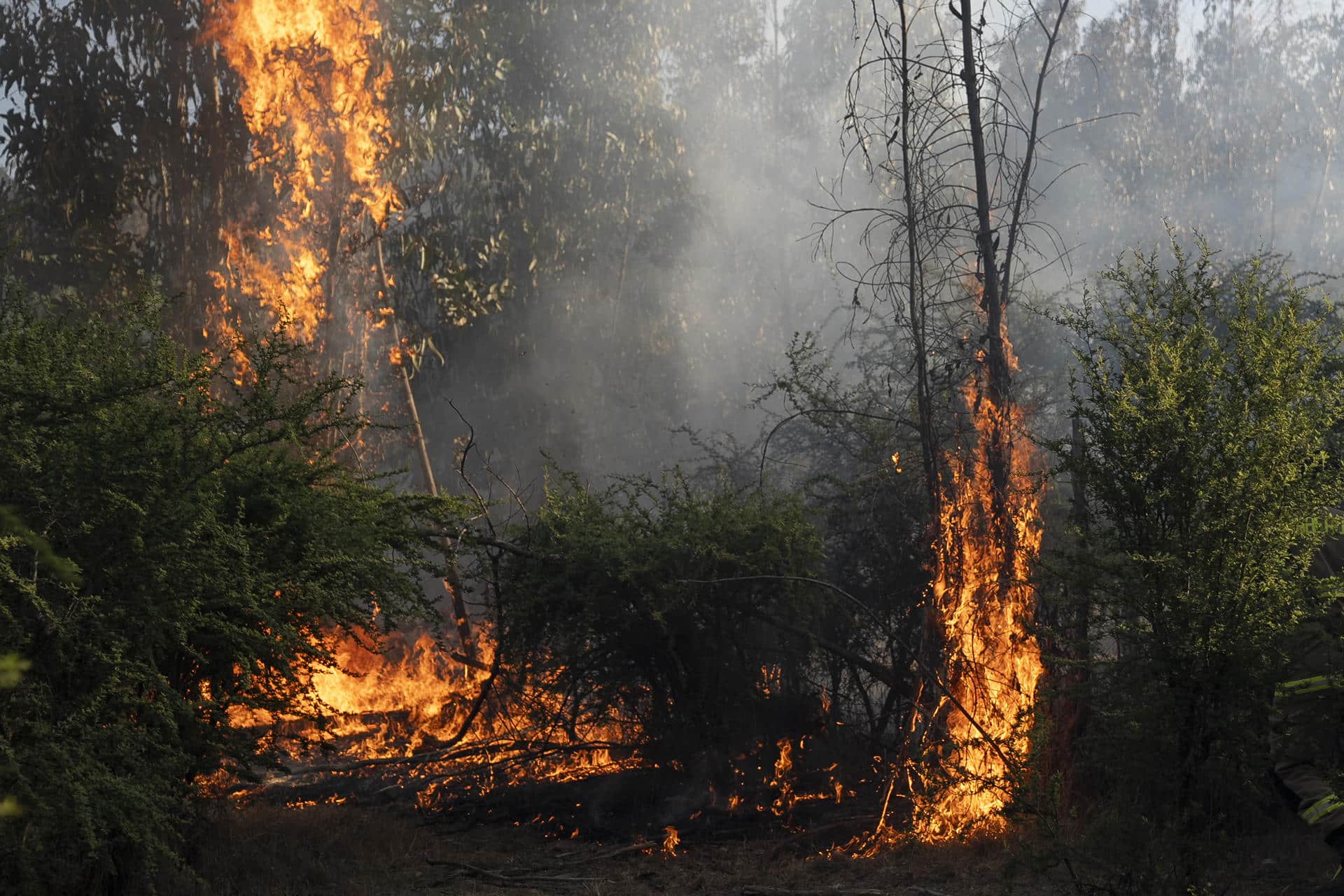 Fotografía un incendio forestal este martes en Quilpué (Chile). EFE/Adriana Thomasa