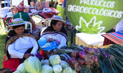 Productores bolivianos venden alimentos durante el festival 'Diversidad es vida - Voces y sabores del bosque', en la ciudad de La Paz (Bolivia). EFE/Gabriel Márquez