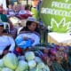 Productores bolivianos venden alimentos durante el festival 'Diversidad es vida - Voces y sabores del bosque', en la ciudad de La Paz (Bolivia). EFE/Gabriel Márquez