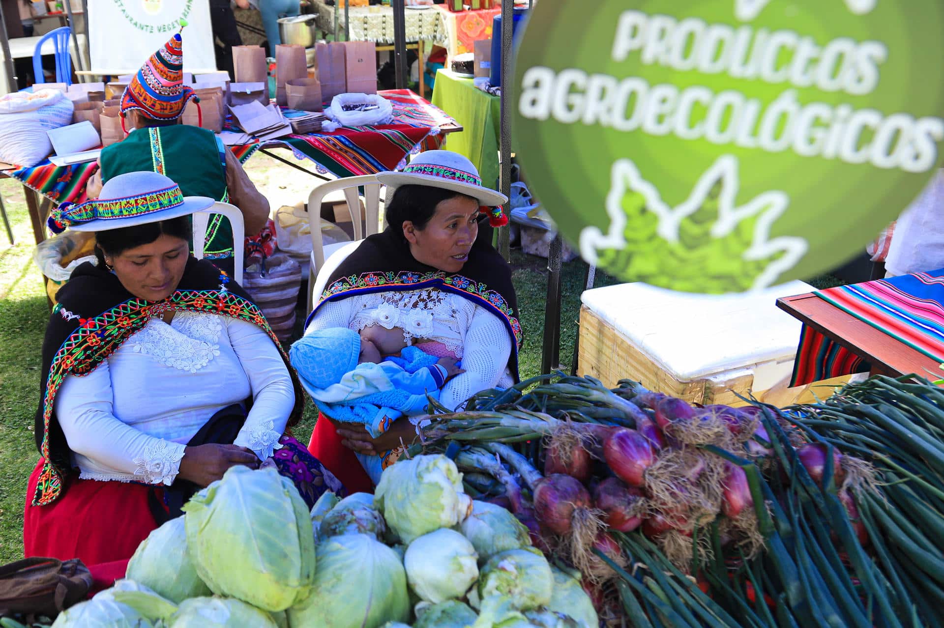 Productores bolivianos venden alimentos durante el festival 'Diversidad es vida - Voces y sabores del bosque', en la ciudad de La Paz (Bolivia). EFE/Gabriel Márquez