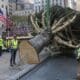 Un equipo de trabajadores levanta el árbol de Navidad del Rockefeller Center en Nueva York, EE. UU., 9 de noviembre de 2024. EFE/EPA/Sarah Yenesel