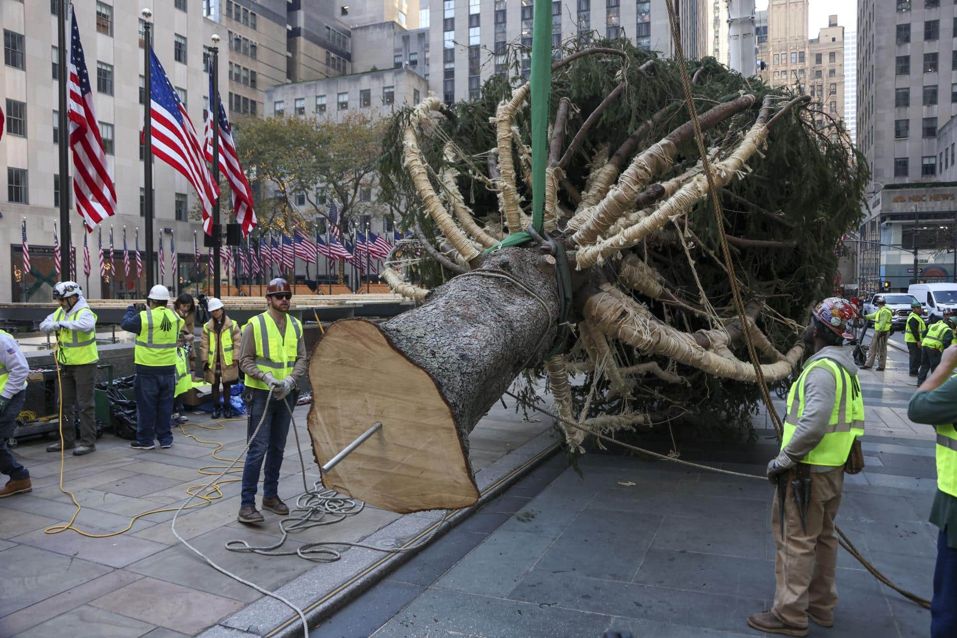 Un equipo de trabajadores levanta el árbol de Navidad del Rockefeller Center en Nueva York, EE. UU., 9 de noviembre de 2024. EFE/EPA/Sarah Yenesel