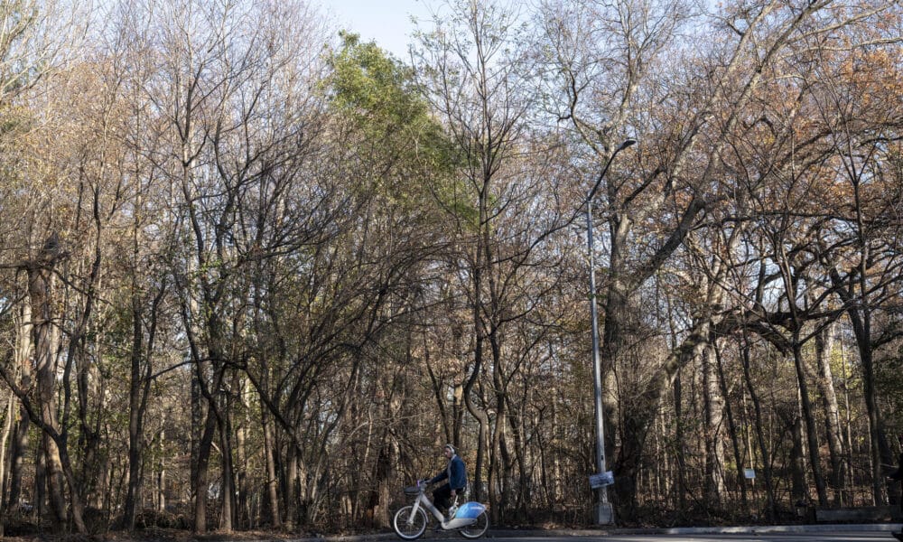 Una persona pasea en bicicleta este lunes en el Prospect Park de Brooklyn en Nueva York (Estados Unidos). EFE/ Ángel Colmenares