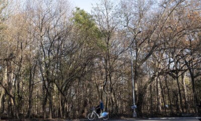 Una persona pasea en bicicleta este lunes en el Prospect Park de Brooklyn en Nueva York (Estados Unidos). EFE/ Ángel Colmenares