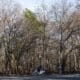 Una persona pasea en bicicleta este lunes en el Prospect Park de Brooklyn en Nueva York (Estados Unidos). EFE/ Ángel Colmenares