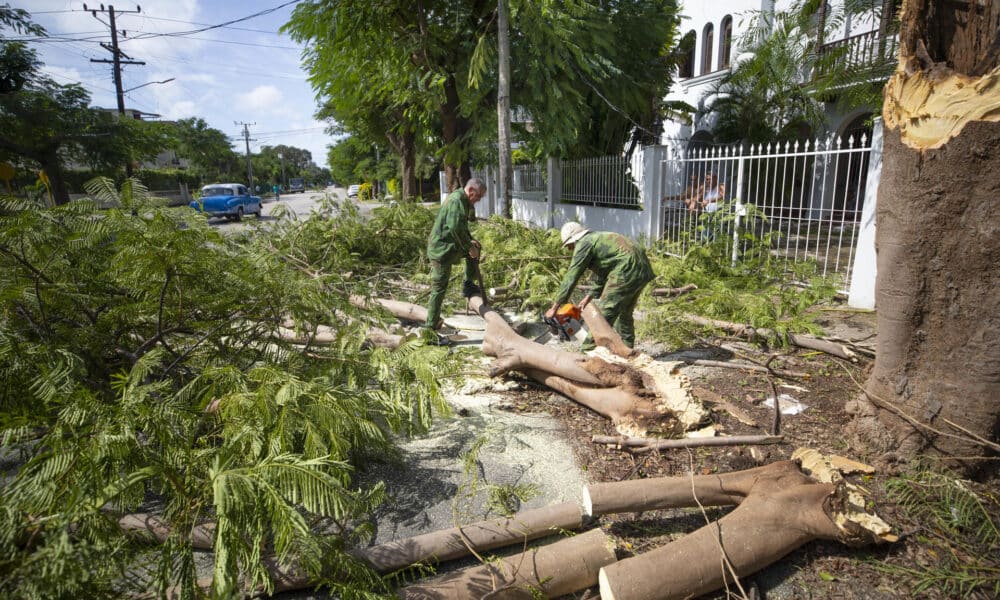 Dos hombres cortan con una sierra el tronco de un árbol caído a causa del huracán Rafael, este viernes en La Habana (Cuba). EFE/Yander Zamora