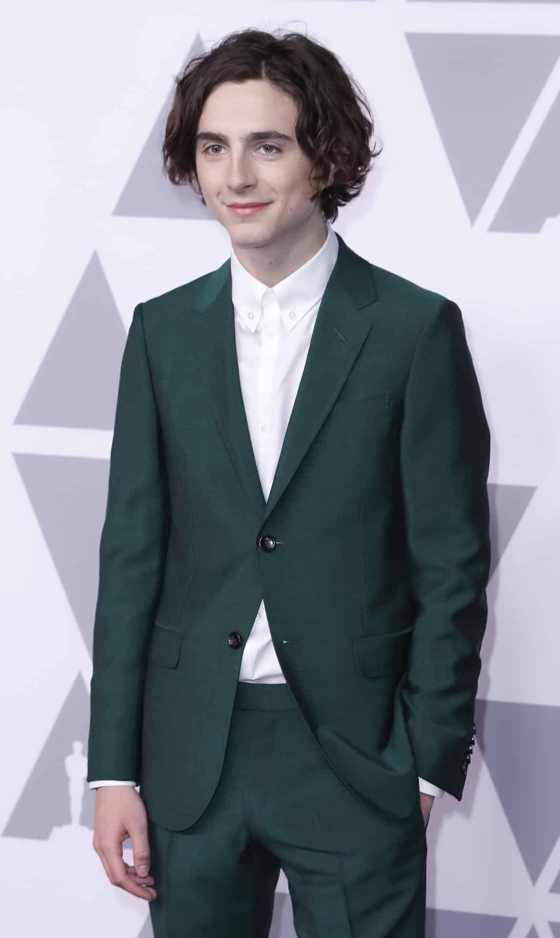 Imagen de archivo de Timothee Chalamet previo a la entrega de los Premios Óscar, en el Beverly Hilton de Beverly Hills, California (EE.UU.). EFE/MIKE NELSON