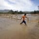 Fotografía de archivo del 29 de octubre de 2024 en donde un joven camina por una calle inundada en la región de San Antonio del Sur tras el paso de la tormenta tropical Óscar, en la provincia de Guantánamo, a más de 900 km de La Habana (Cuba). EFE/ Ernesto Mastrascusa