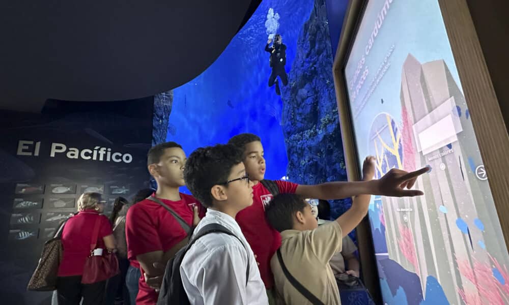 Estudiantes visitan el Biomuseo durante la inauguración de la primera edición de "Mi experiencia en el museo", este jueves en Ciudad de Panamá (Panamá). EFE/Bienvenido Velasco